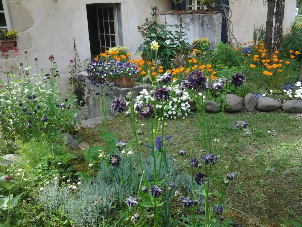 Chambres D'Hotes Aroha Sorde-l'Abbaye Bagian luar foto